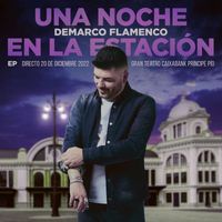 Demarco Flamenco - Una Noche en la Estación (En directo Music Station)