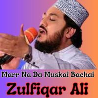 Zulfiqar Ali - Marr Na Da Muskai Bachai