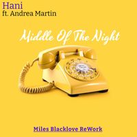 Hani - Middle Of The Night (Miles Blacklove Amapiano ReWork)