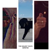 The Violent Youth - Serdtse