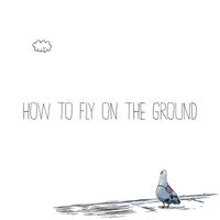 Emmit Fenn - How To Fly On The Ground