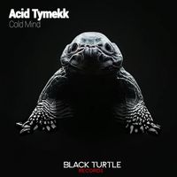 Acid Tymekk - Cold Mind