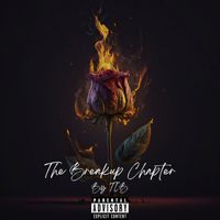 Tlb - The Breakup Chapter (Explicit)