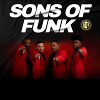 Sons Of Funk - Heart Break Hotel