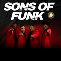 Sons Of Funk - Thank You Baby