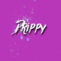 Krisy Erin - Drippy (Explicit)