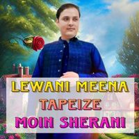 Moin Sherani - Lewani Meena Tapeize