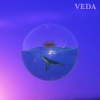 VEDA - Luck to XX