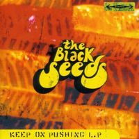 The Black Seeds - Keep on Pushing