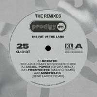 The Prodigy - The Fat Of The Land 25th Anniversary - Remixes