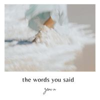Zeni N - the words you said