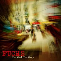 Fuchs - Too Much Too Many