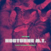 Tetris - Nocturne M.T. (Baby Mammoth Remix)