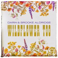 Darin and Brooke Aldridge - Wildflower Too