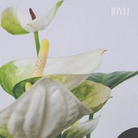 IDYLL - Anthurium