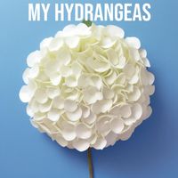 Fever - My Hydrangeas
