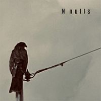 N nulls - silent crisis