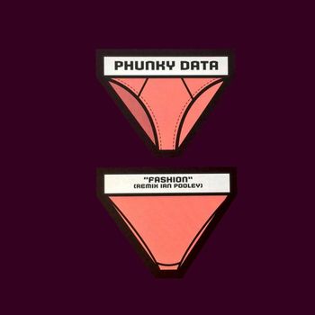 Phunky Data, Ian Pooley - Fashion