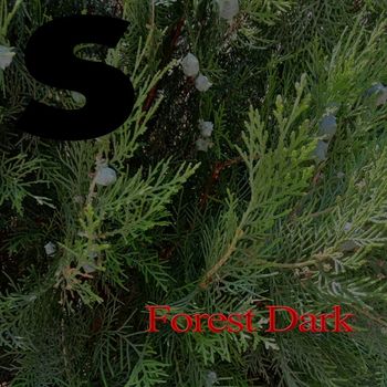 Various Artists - Forest Dark