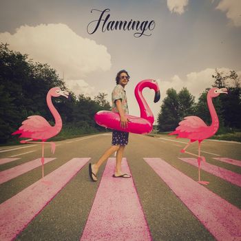 Flamingo - Flamingo