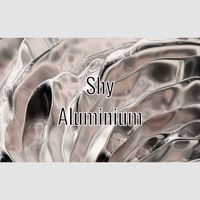 Shy - Aluminium