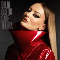 Delia - Gustul care te fură