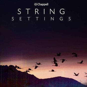 David Bertrand Holland - String Settings