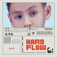 Gate - Hard Flow