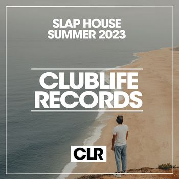 Various Artists - Slap House Summer 2023