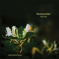 James Michael Stevens - Honeysuckels (Organ Solo)
