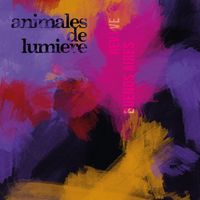 Animales de Lumiere - Revive (En Vivo Buenos Aires)