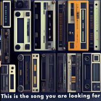 Sunami - This Is the Song You Are Looking For