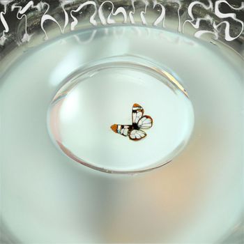 Various Artists - Ithomiines