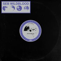 Seb Wildblood - Bad Space Habits