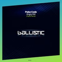 Pulse Code - Angry Kid (Psyb3r Remix)