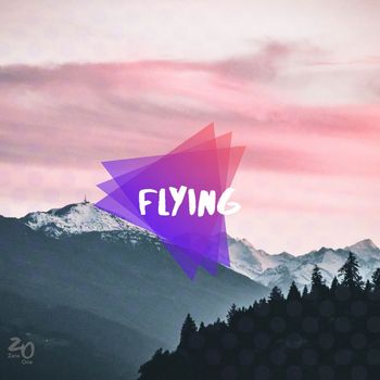 Zero One - Flying