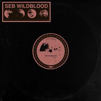 Seb Wildblood - Landing