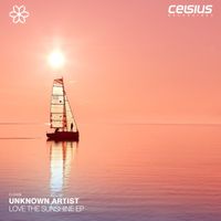 Unknown Artist - Love The Sunshine  EP