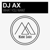 DJ Ax - What You Want (Original Mix)