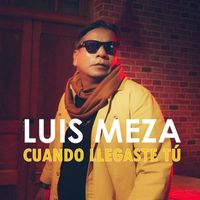 Luis Meza - Cuando Llegaste Tú