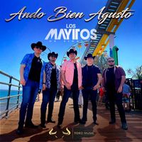 Los Mayitos De Sinaloa - Ando Bien Agusto