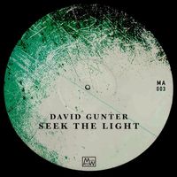 David Gunter - Seek the Light