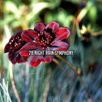 Rain Sounds Sleep - 28 Night Rain Symphony