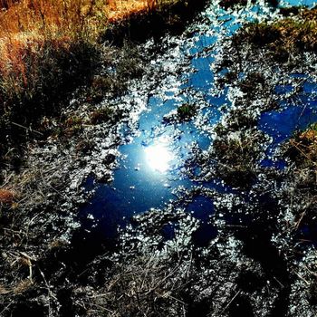 Bob Holroyd - Sunrise
