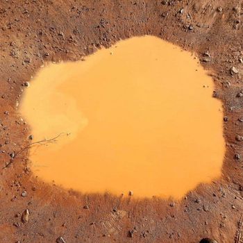 Bob Holroyd - Red Earth