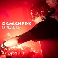 Damian Fink - Silvered