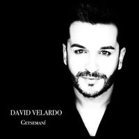 David Velardo - Getsemaní