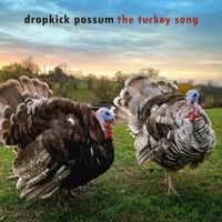 Dropkick Possum - The Turkey Song