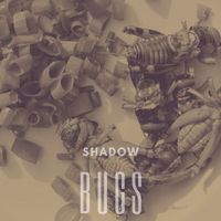 Shadow - Bugs