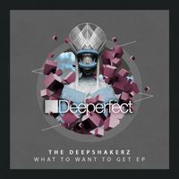 The Deepshakerz - What to Want to Get